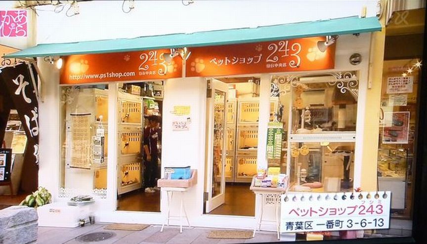 店舗情報 ペットショップ ふしみ