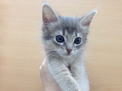 飼い主様お写真