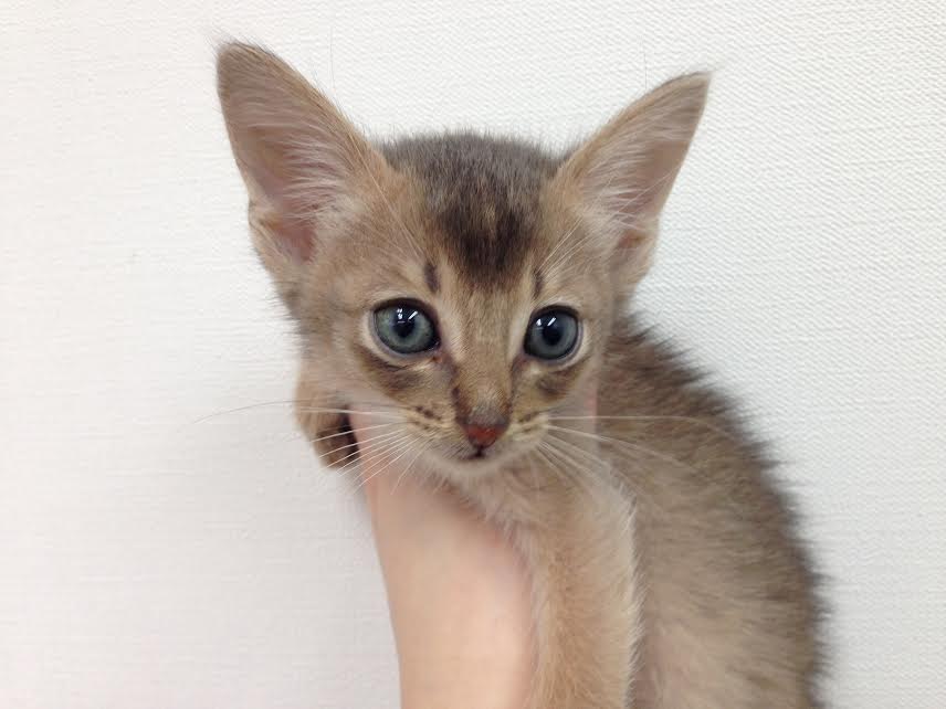 飼い主様お写真