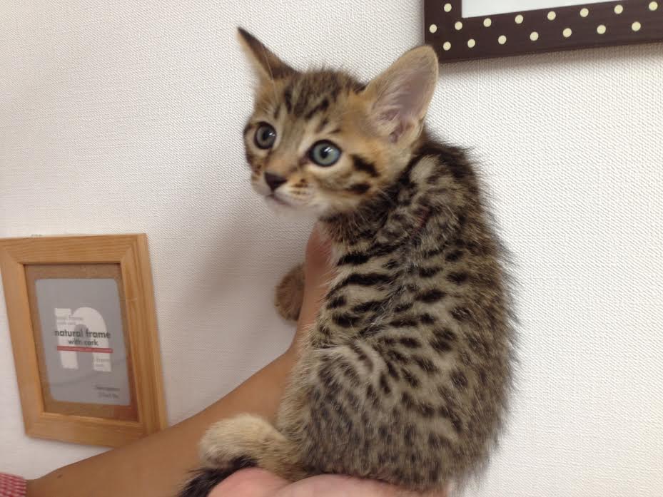 飼い主様お写真